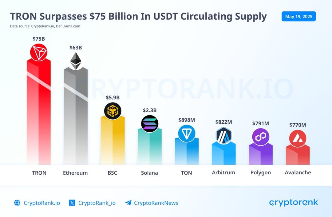 Tether Surpasses Germany in U.S. Treasury Holdings, Leads $244B Stablecoin Market with $757B USDT on TRON