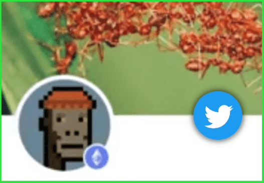 NFT Profile Pics on Twitter: Will @Jack’s DeFi Move be a Game Changer?