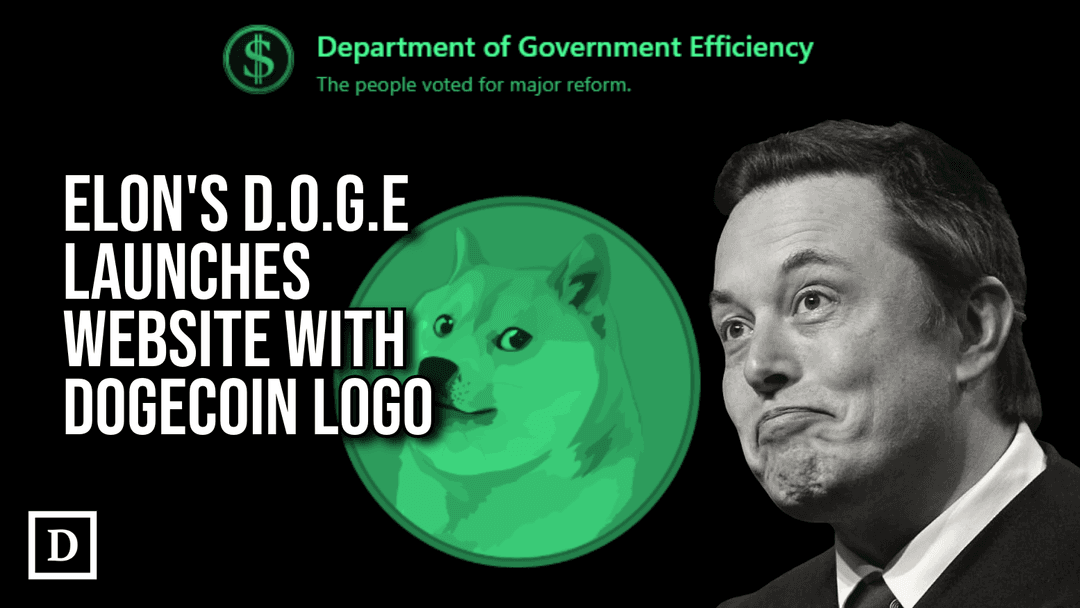Elon Musk's D.O.G.E Initiative Launches with Dogecoin Logo, Sparking Rally