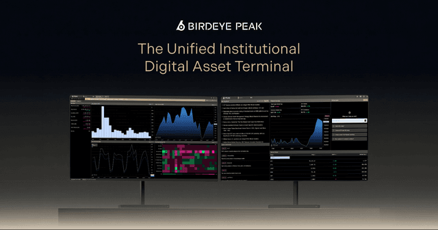 Birdeye Launches Peak, Giving Allocators A Limitless Market Terminal