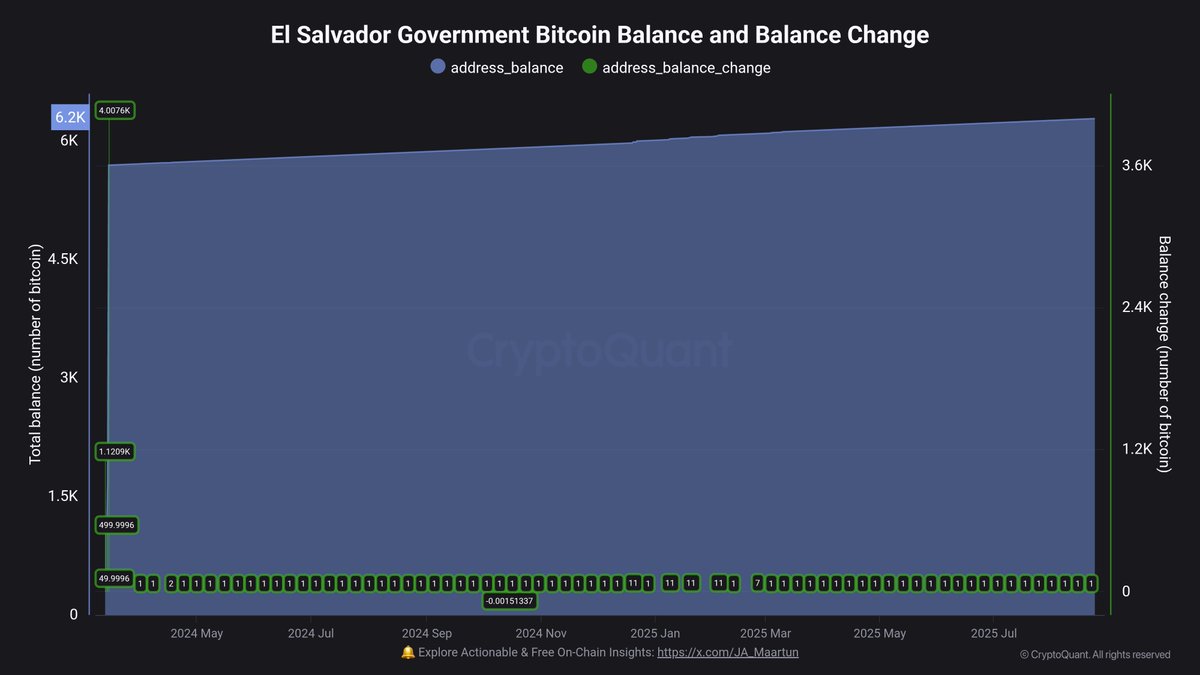 El Salvador and SpaceX Boost Combined Bitcoin Holdings to $1.7 Billion