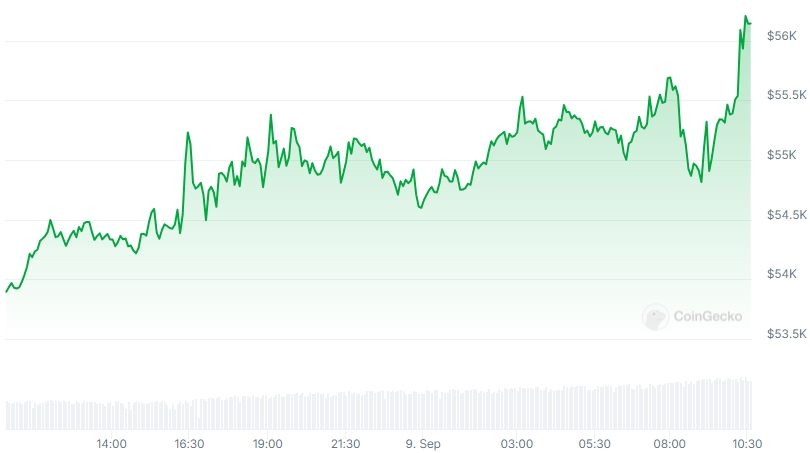 BTC Price chart